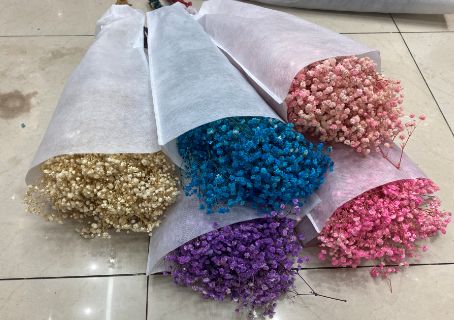 Dried baby's breath in colours, 120 g